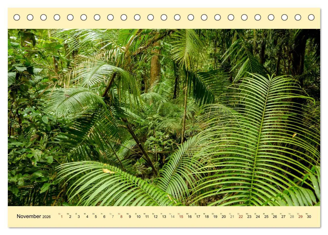 Bild: 9783516234527 | Australien - Der vielseitige Osten (Tischkalender 2026 DIN A5...