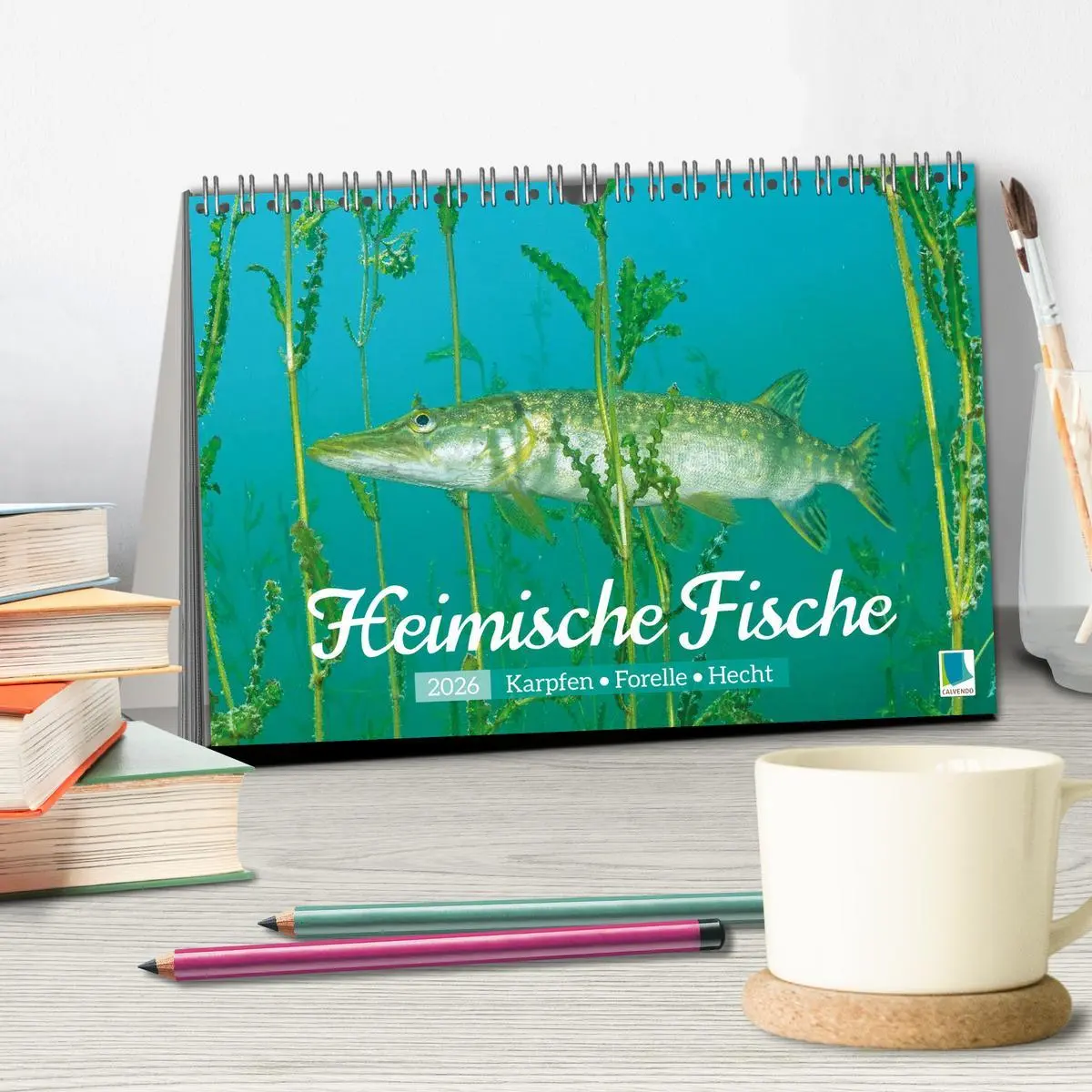Bild: 9783516614527 | Heimische Fische: Karpfen, Forelle, Hecht (Tischkalender 2026 DIN...
