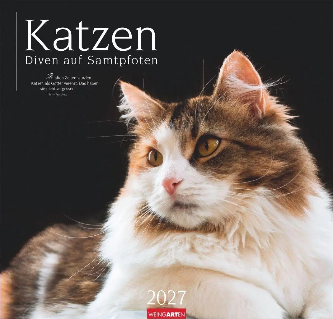Cover: 9783839904527 | Katzen - Diven auf Samtpfoten Kalender 2027 - Diven auf Samtpfoten