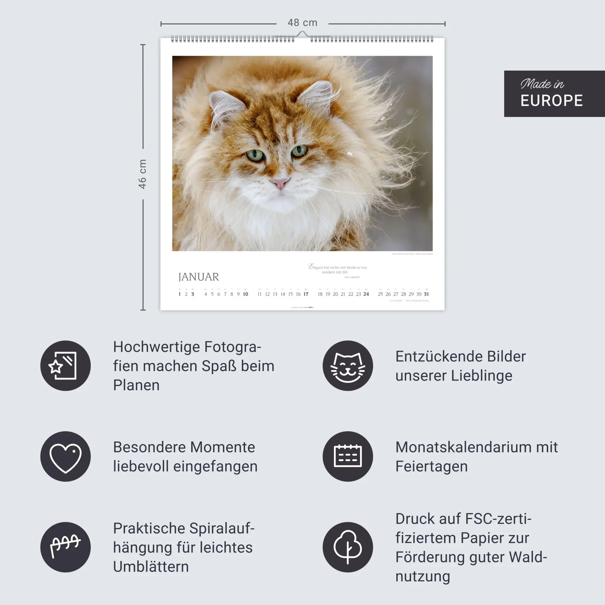 Bild: 9783839904527 | Katzen - Diven auf Samtpfoten Kalender 2027 - Diven auf Samtpfoten