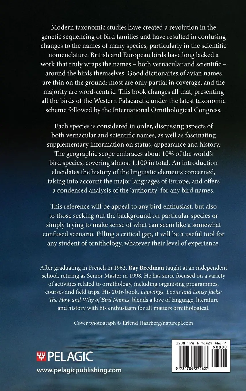Rückseite: 9781784274627 | The Vanishing Mew Gull | Ray Reedman | Buch | Englisch | 2024