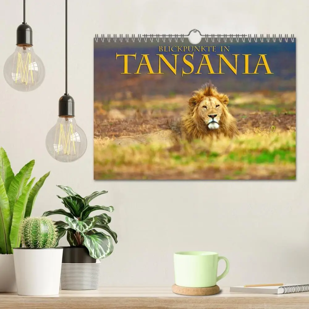 Bild: 9783435354627 | Blickpunkte Tansanias (Wandkalender 2025 DIN A4 quer), CALVENDO...