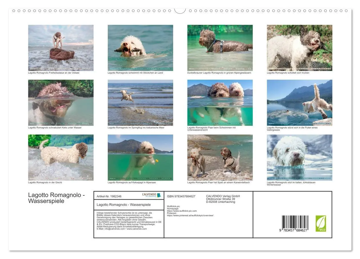 Bild: 9783457684627 | Lagotto Romagnolo - Wasserspiele (hochwertiger Premium Wandkalender...