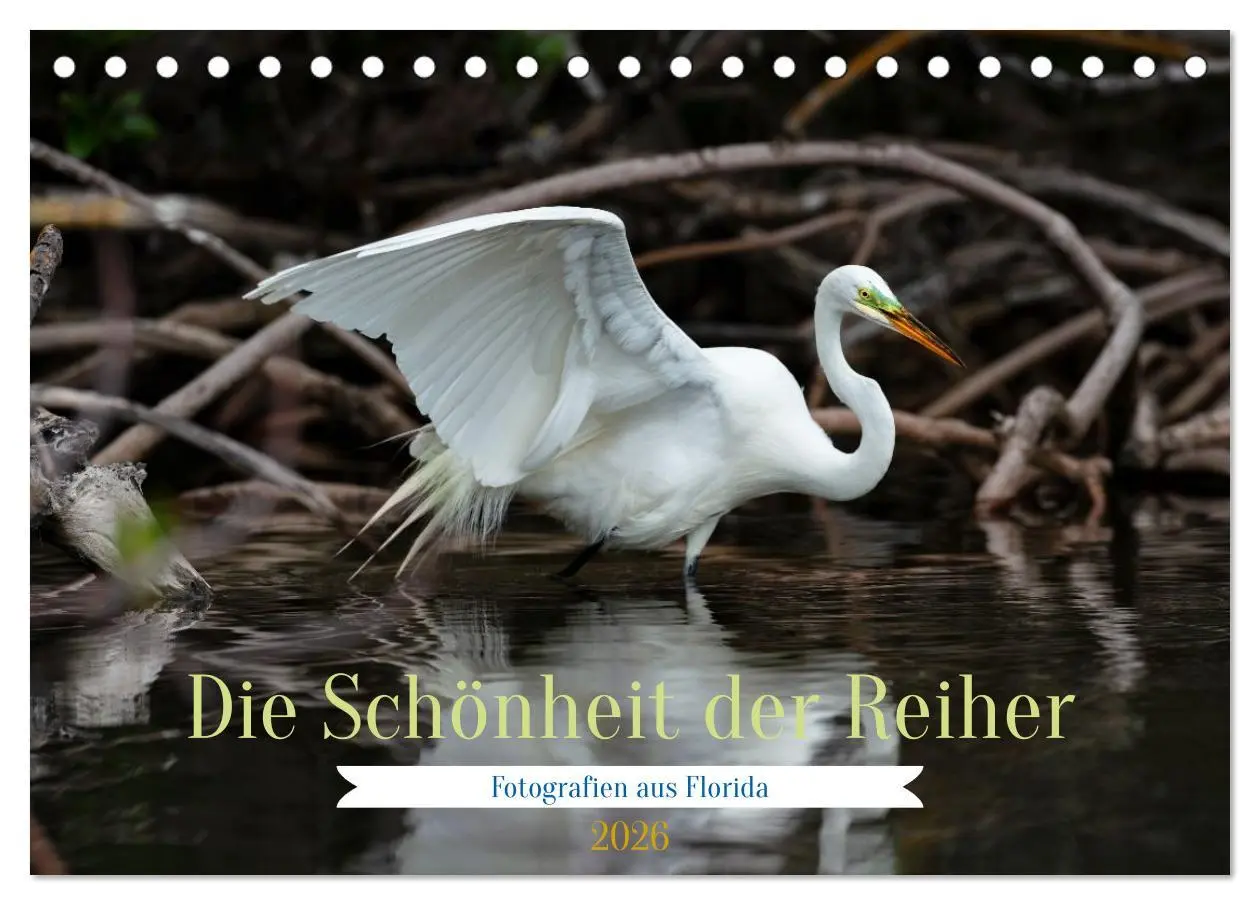 Cover: 9783516604627 | Die Schönheit der Reiher (Tischkalender 2026 DIN A5 quer), CALVENDO...