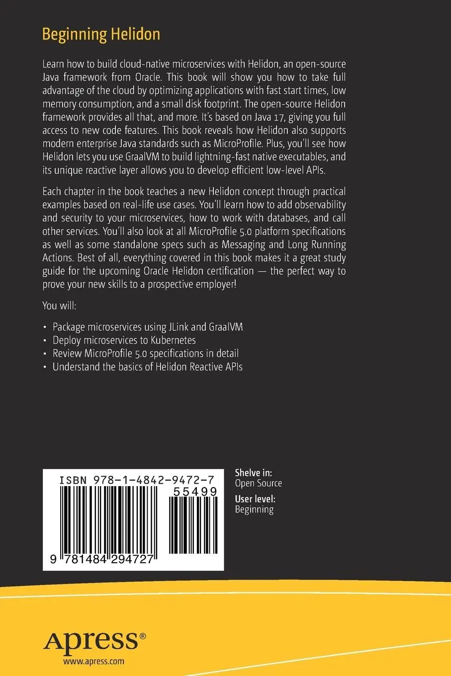 Rückseite: 9781484294727 | Beginning Helidon | Dmitry Kornilov (u. a.) | Taschenbuch | xxiv