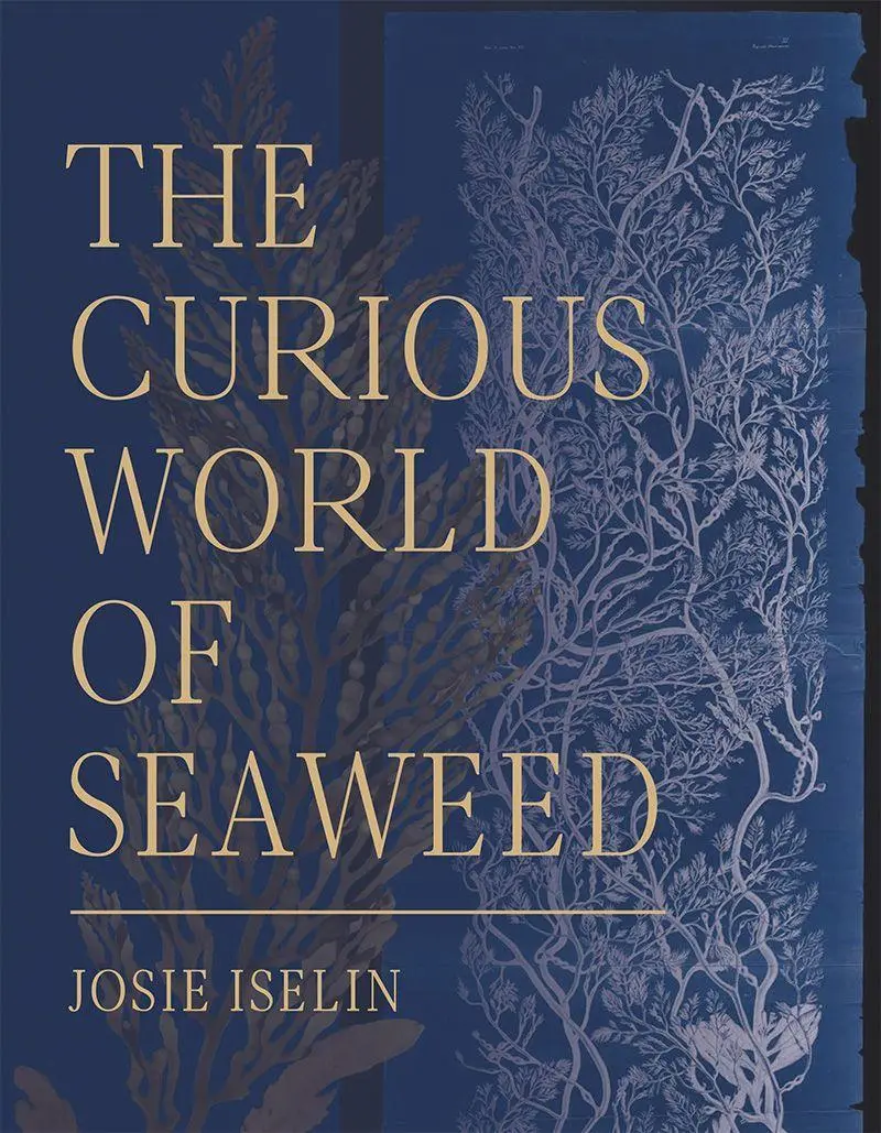 Cover: 9781597144827 | The Curious World of Seaweed | Josie Iselin | Buch | Gebunden | 2019
