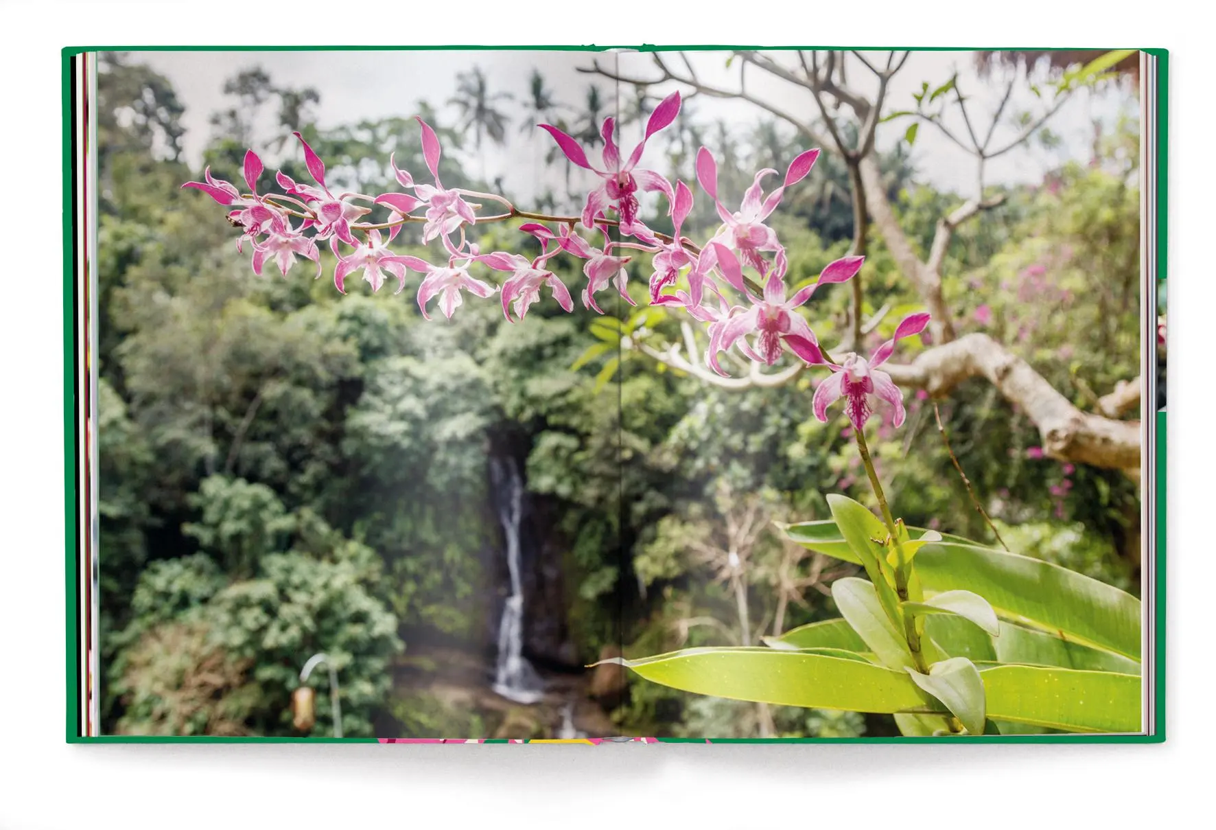 Bild: 9783961714827 | Floramour: Orchideen | FlorAmour | Anja Klaffenbach | Buch | 208 S.