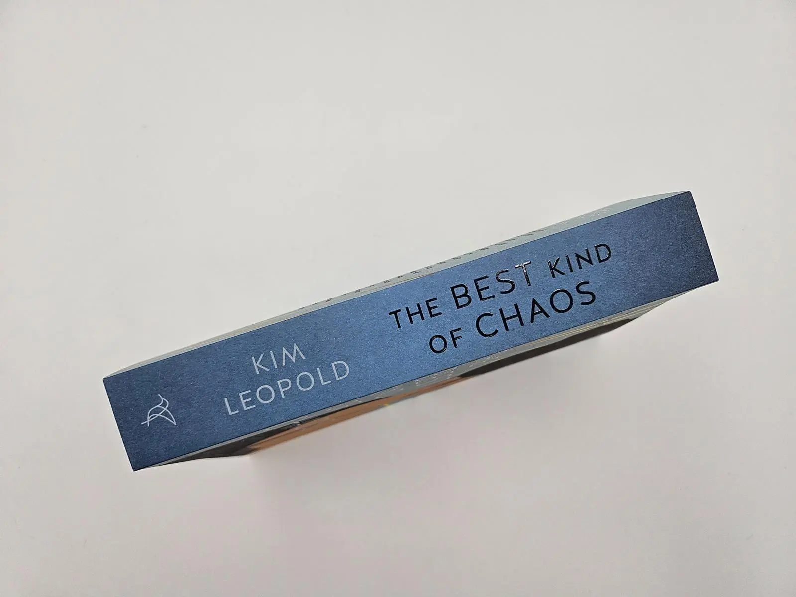 Bild: 9783492064927 | The Best Kind of Chaos | Kim Leopold | Taschenbuch | 416 S. | Deutsch