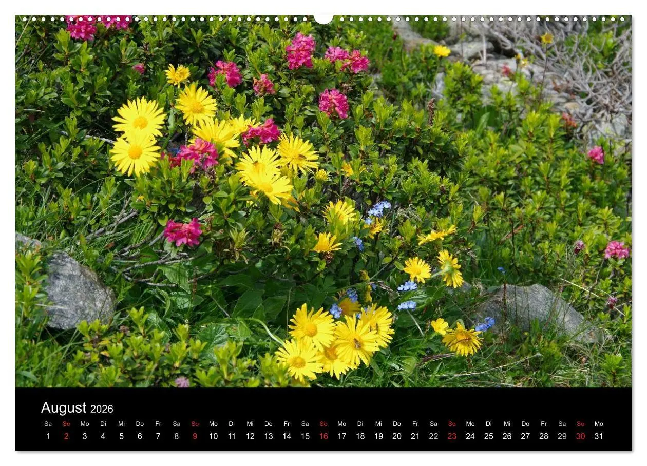 Bild: 9783516124927 | Im Tauferer Ahrntal in Südtirol (Wandkalender 2026 DIN A2 quer),...