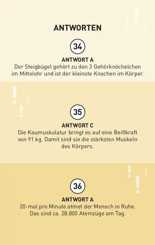Bild: 9783625194927 | Das große Generationen-Quiz I ab 10 Jahren | Naumann &amp; Göbel Verlag