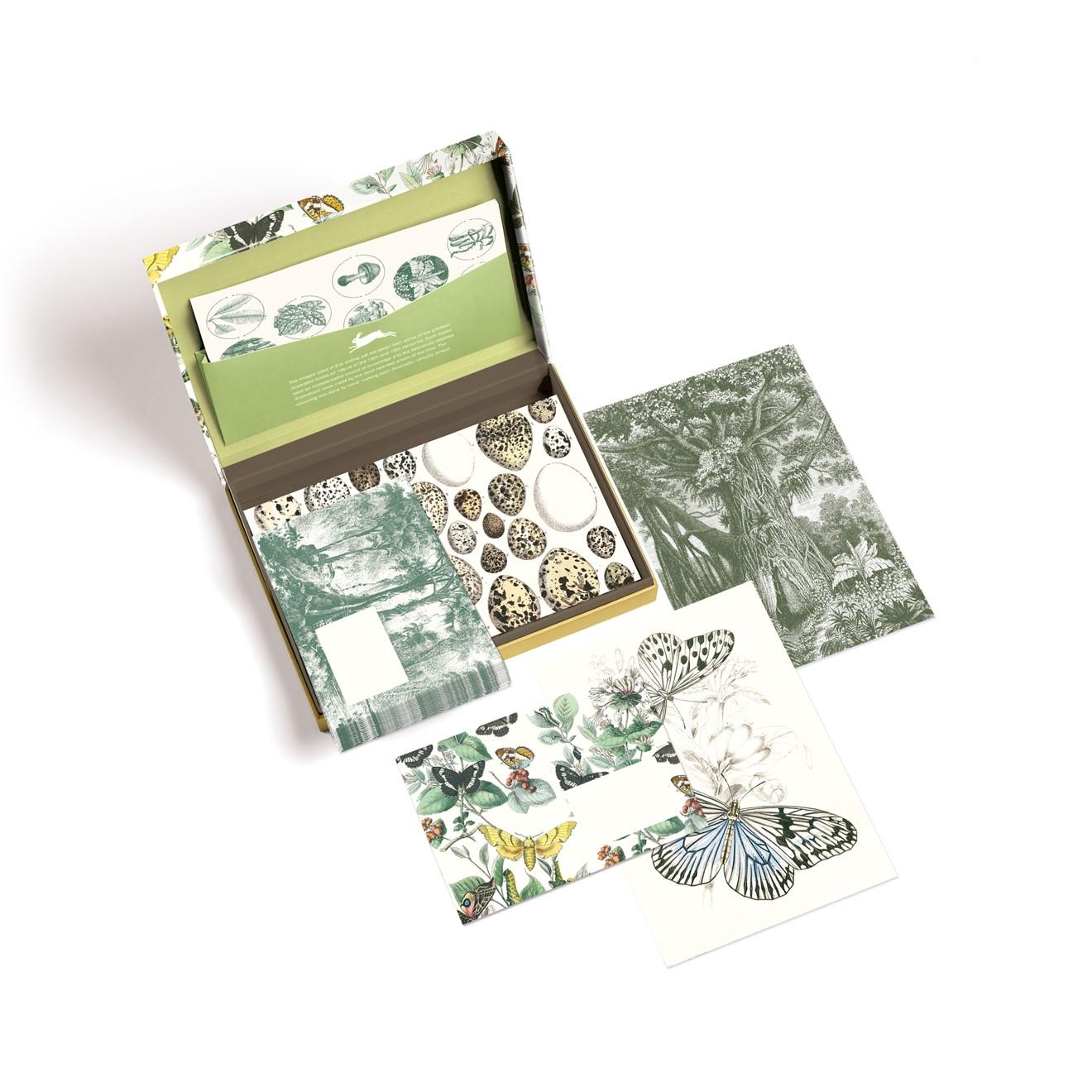 Bild: 9789460094927 | Natural History | Papercraft Book. Lettering Writing Set | Roojen