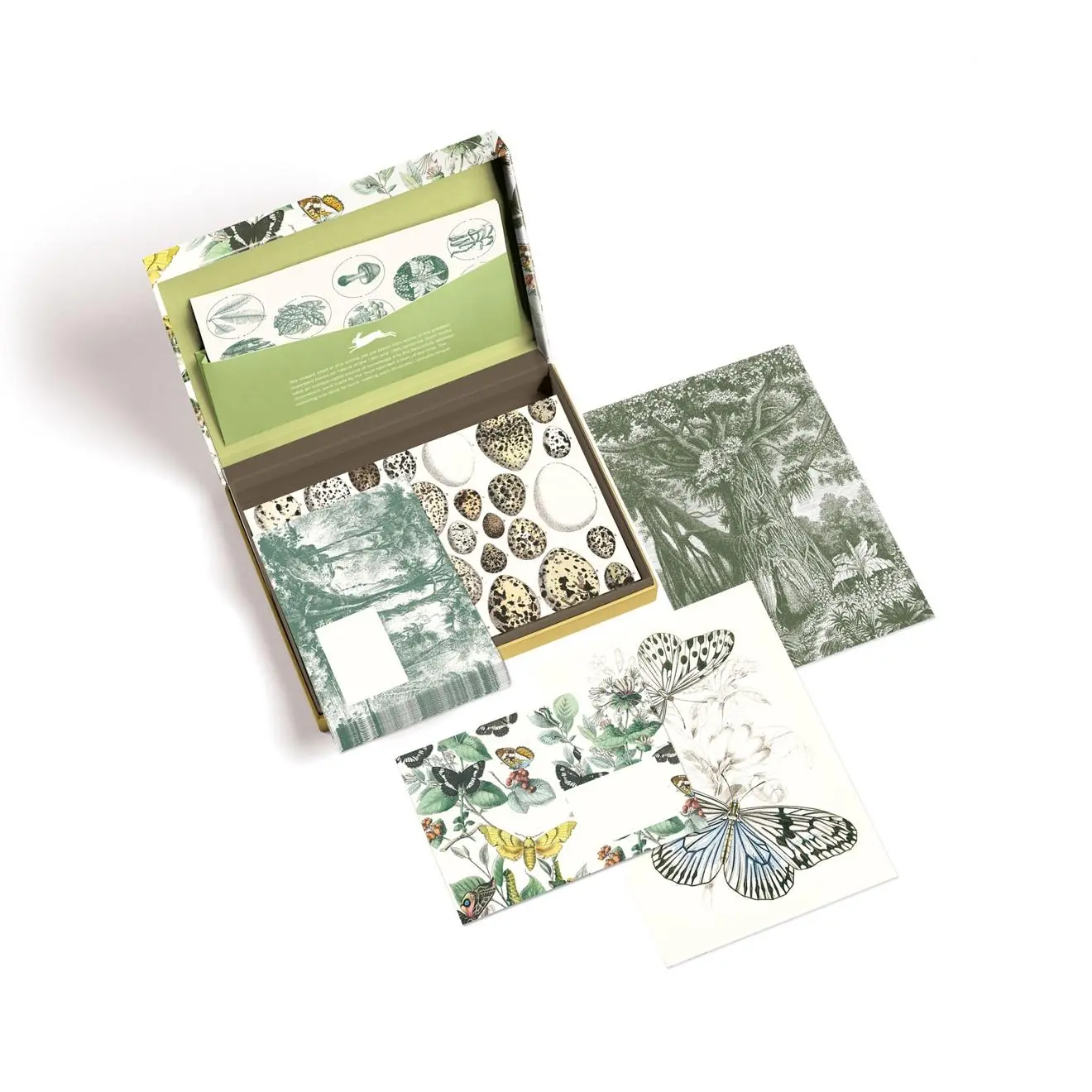 Bild: 9789460094927 | Natural History | Papercraft Book. Lettering Writing Set | Roojen