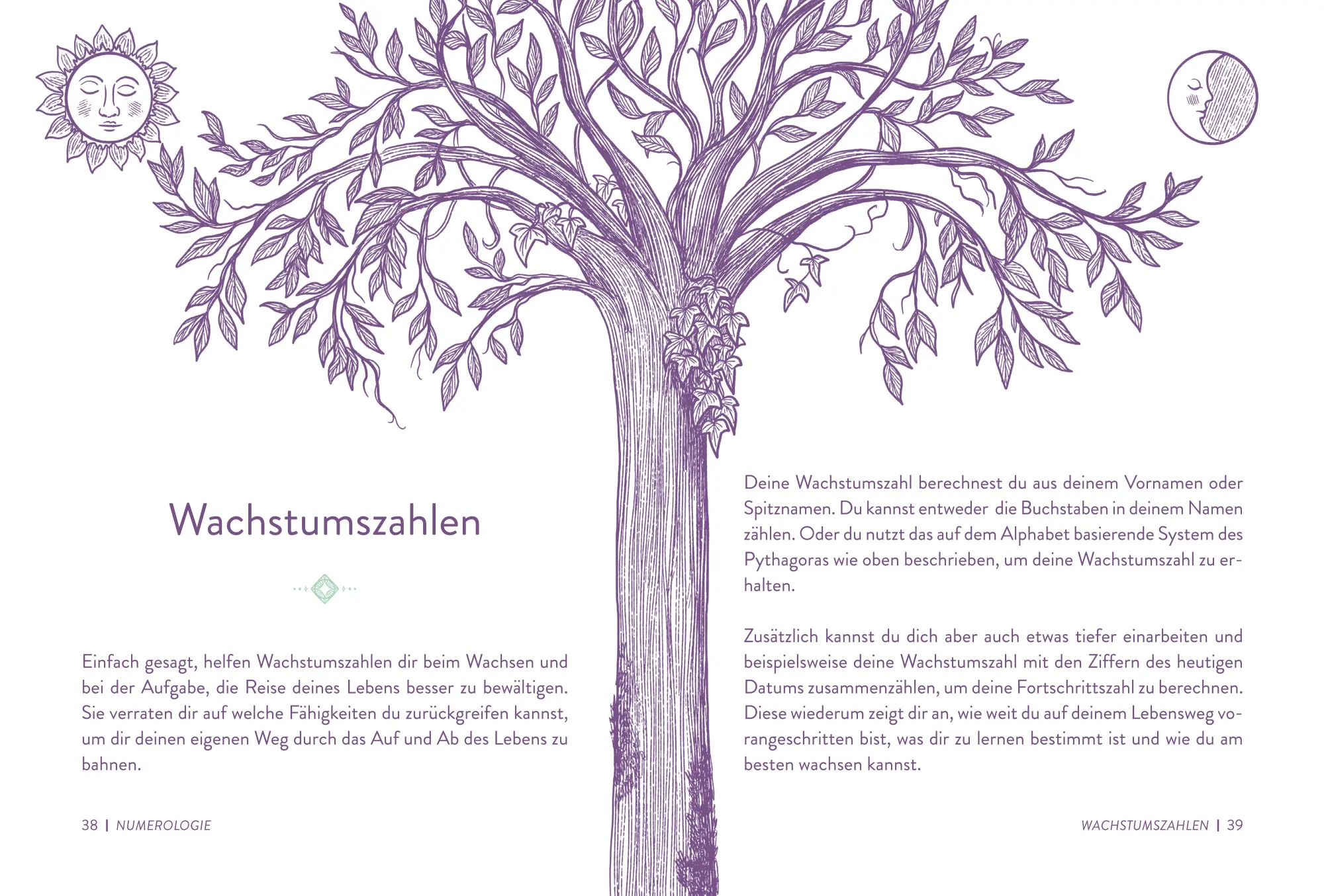 Bild: 9783730615027 | Numerologie | Bestimme dein Schicksal. Illustriert. | Faulkner | Buch