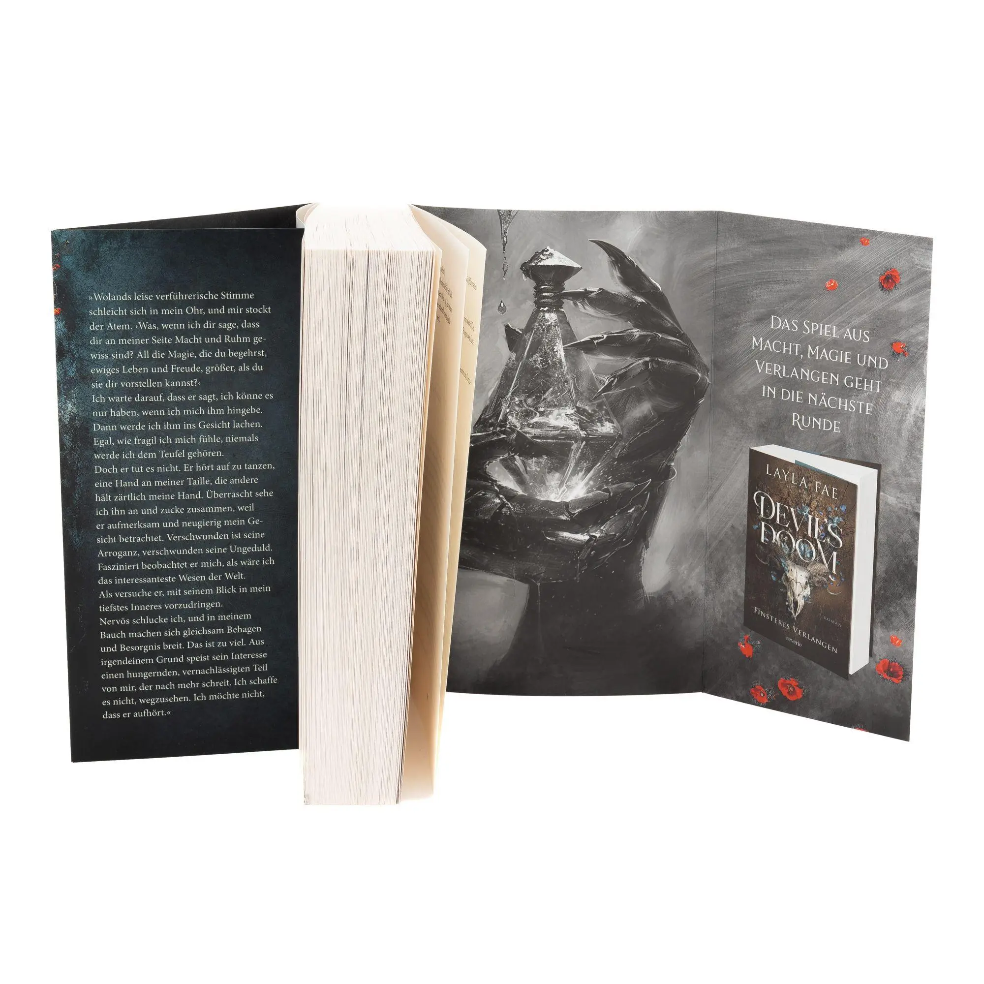 Bild: 9783745705027 | Devil's Deal | Layla Fae | Taschenbuch | 592 S. | Deutsch | 2025