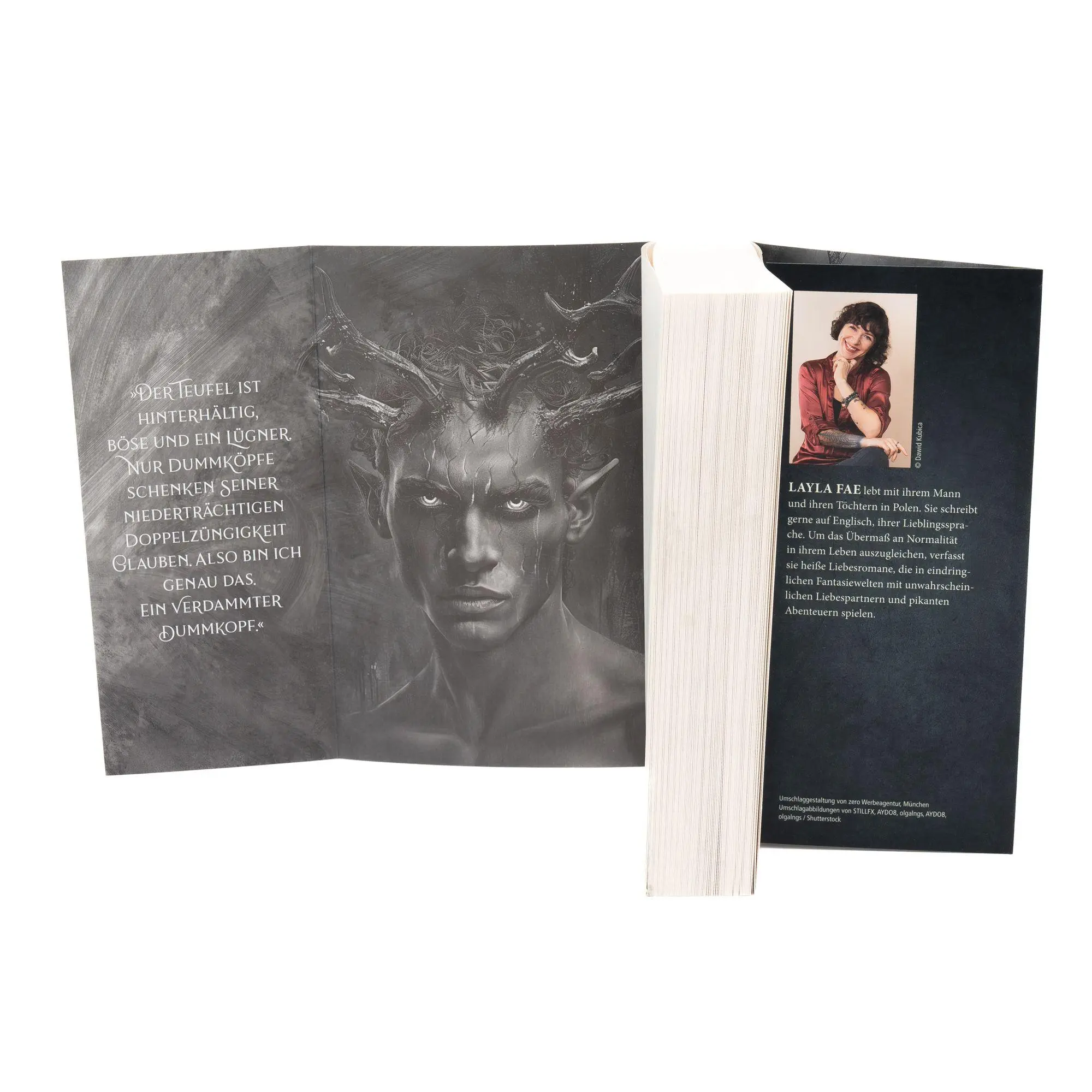 Bild: 9783745705027 | Devil's Deal | Layla Fae | Taschenbuch | 592 S. | Deutsch | 2025