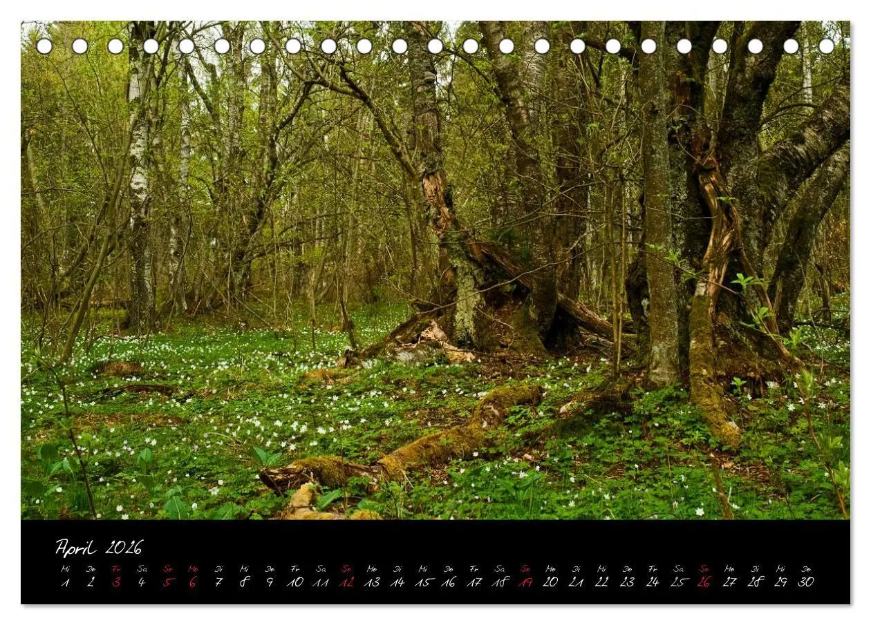 Bild: 9783516175127 | RHÖN = SCHÖN (Tischkalender 2026 DIN A5 quer), CALVENDO Monatskalender