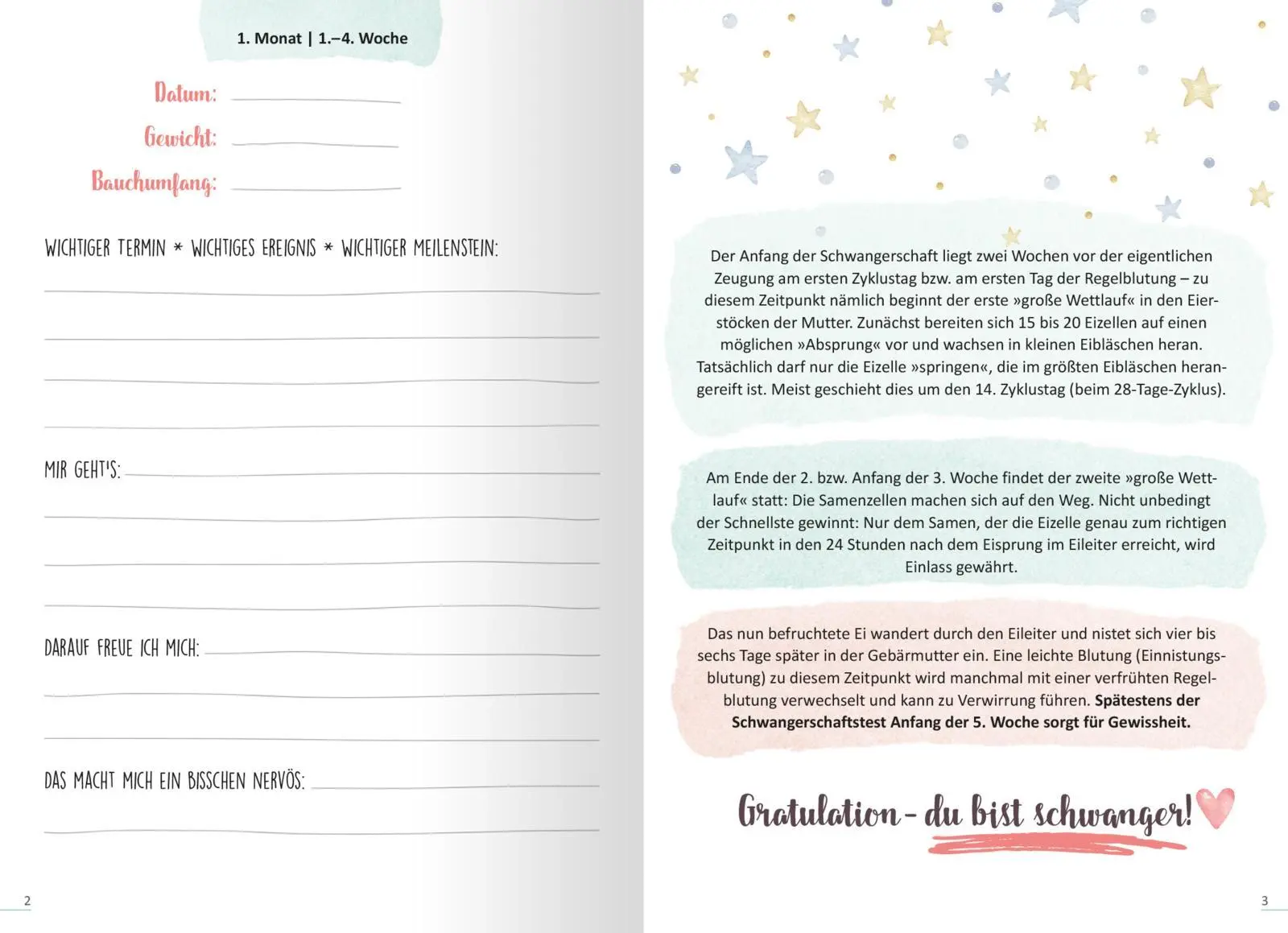 Bild: 4014489125327 | 9 Monate | Mein Schwangeschaftstagebuch | Susanne Müller-Egloff | Buch