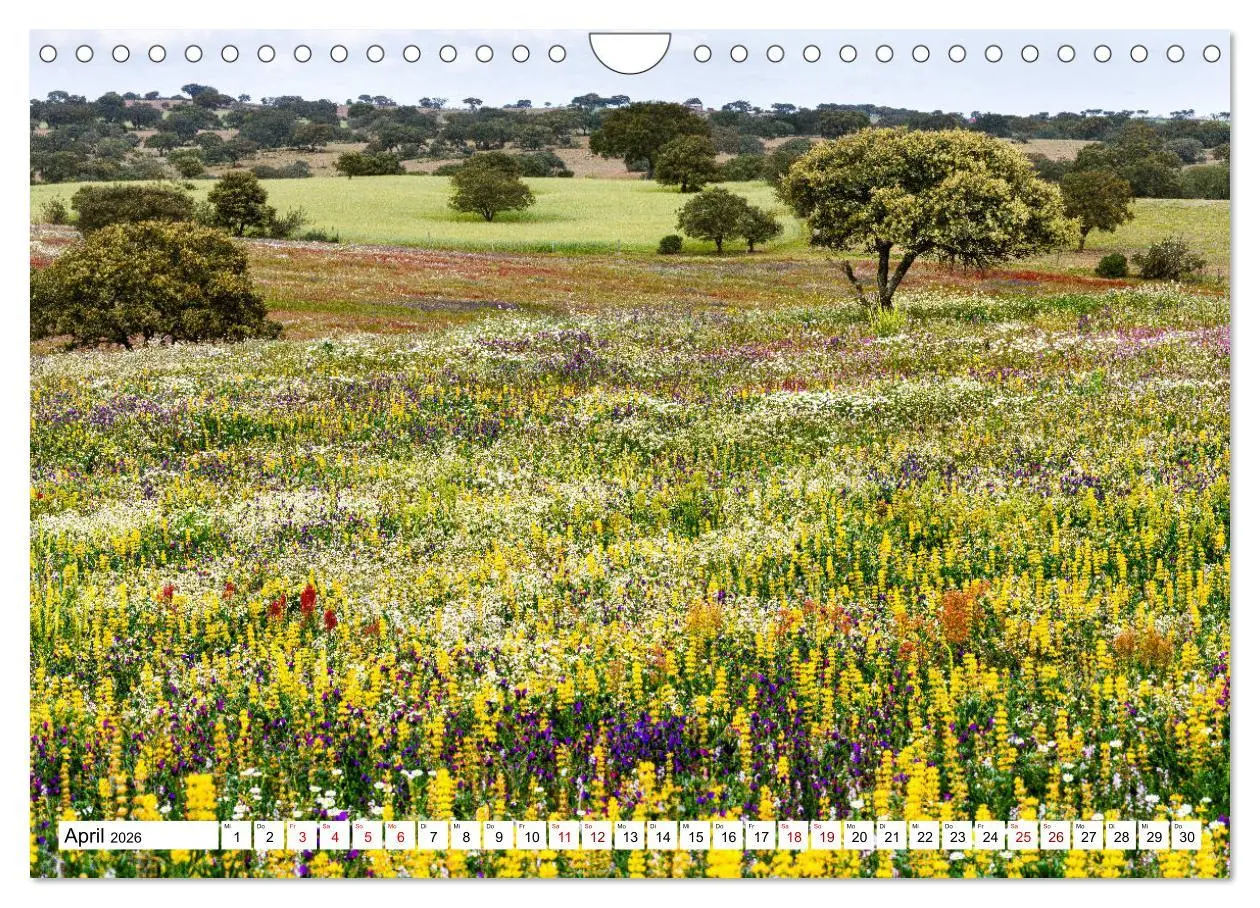 Bild: 9783457685327 | Alentejo - das romantische Portugal (Wandkalender 2026 DIN A4...