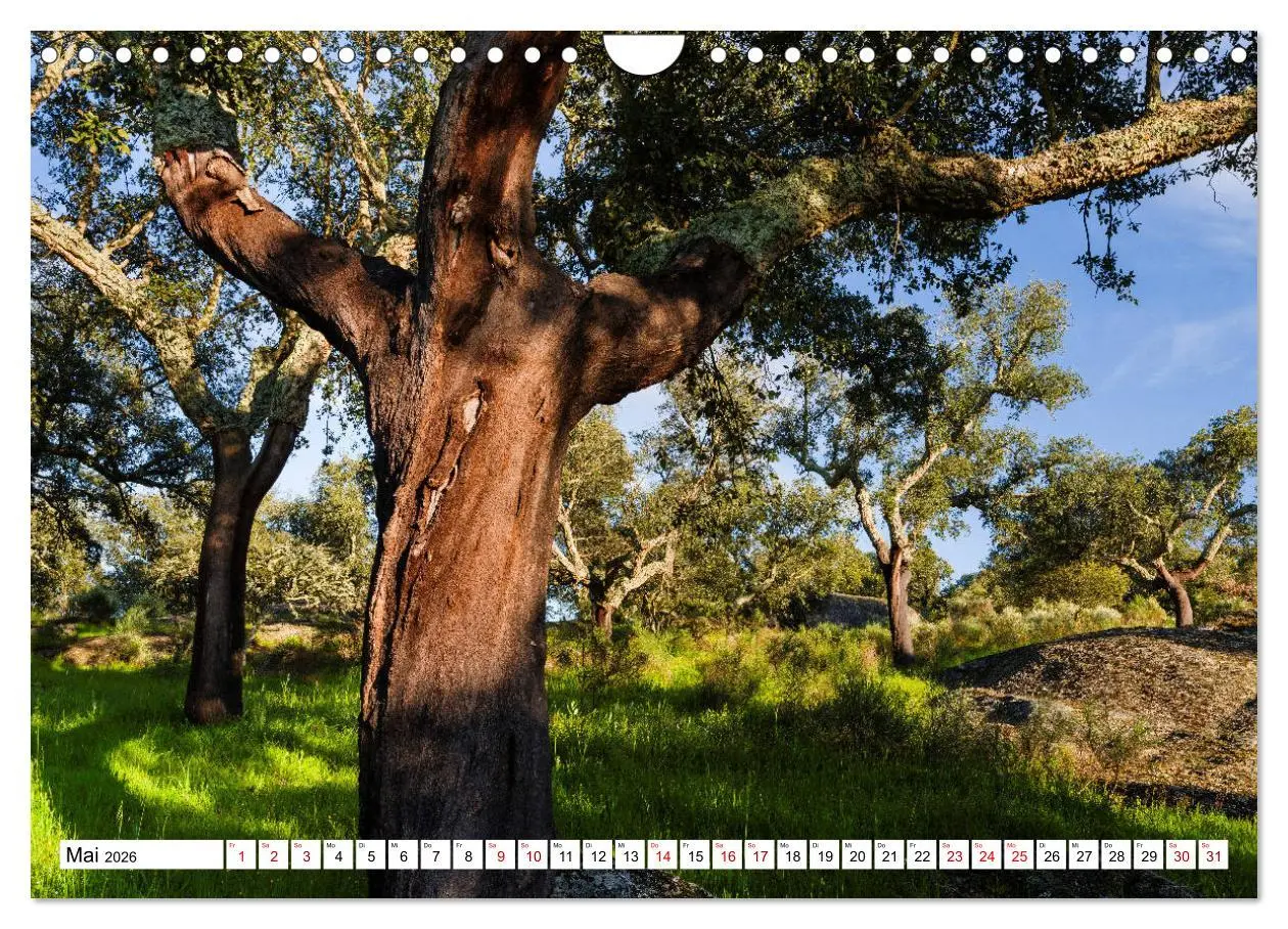 Bild: 9783457685327 | Alentejo - das romantische Portugal (Wandkalender 2026 DIN A4...