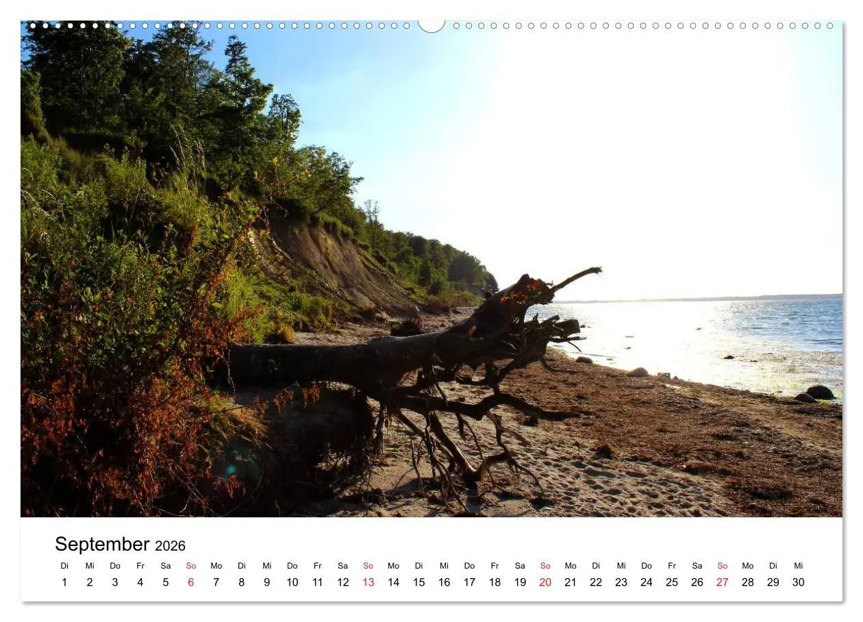 Bild: 9783516085327 | Ostseeküste 2026 (hochwertiger Premium Wandkalender 2026 DIN A2...