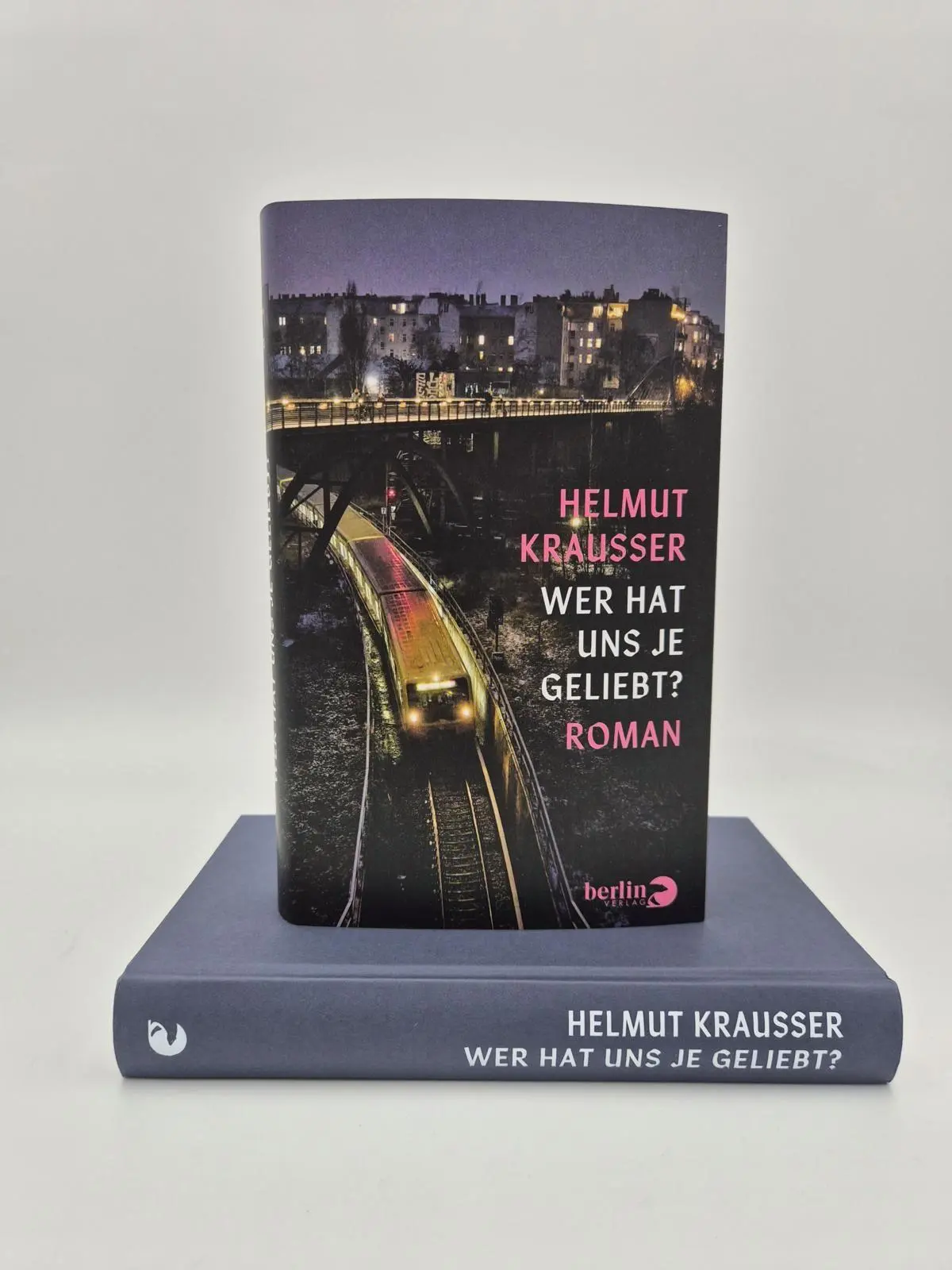 Bild: 9783827015327 | Wer hat uns je geliebt? | Helmut Krausser | Buch | 304 S. | Deutsch