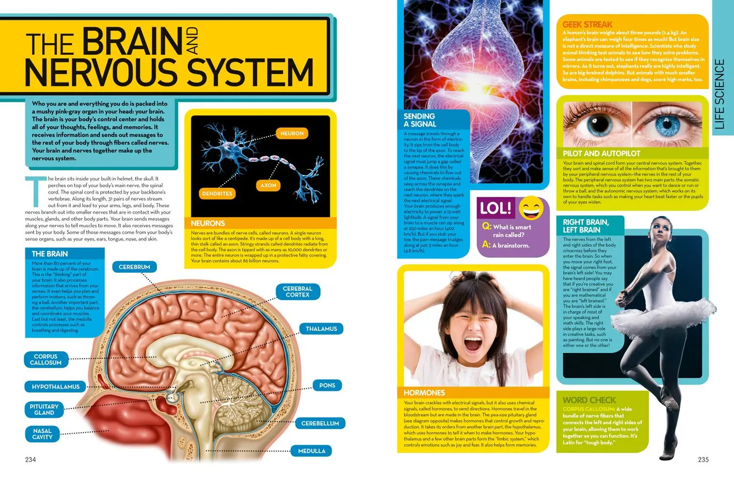 Bild: 9781426325427 | Science Encyclopedia | National Geographic Kids | Buch | Englisch