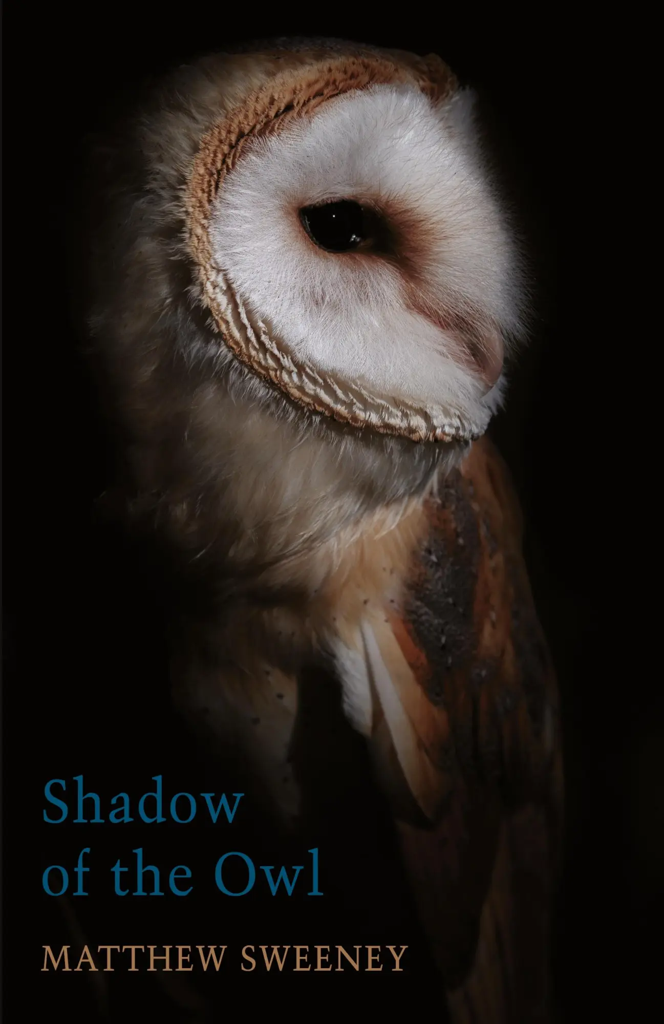 Cover: 9781780375427 | Shadow of the Owl | Matthew Sweeney | Taschenbuch | Englisch | 2020