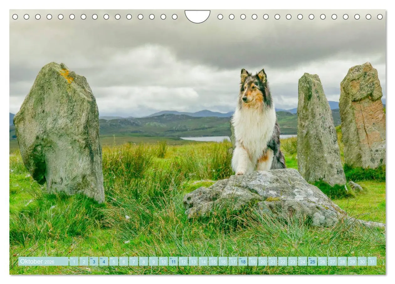 Bild: 9783457745427 | Highland-Collies - Auf vier Pfoten durch Schottland und Irland...