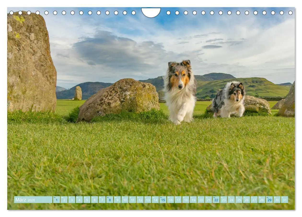 Bild: 9783457745427 | Highland-Collies - Auf vier Pfoten durch Schottland und Irland...