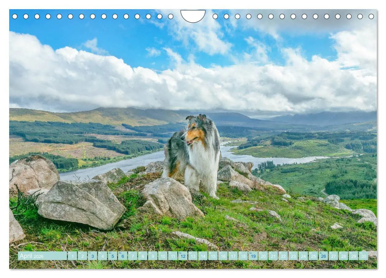 Bild: 9783457745427 | Highland-Collies - Auf vier Pfoten durch Schottland und Irland...