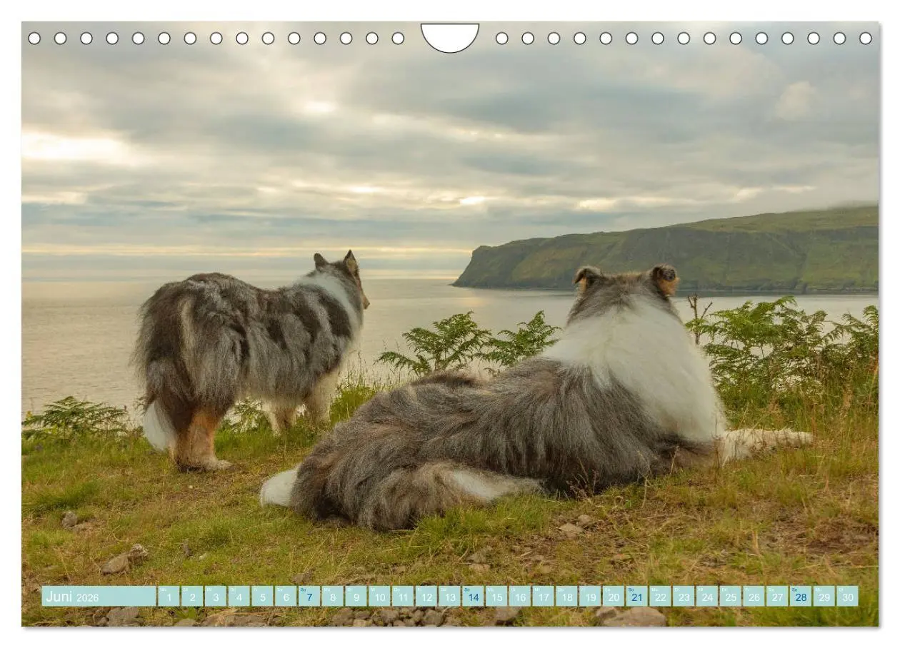 Bild: 9783457745427 | Highland-Collies - Auf vier Pfoten durch Schottland und Irland...