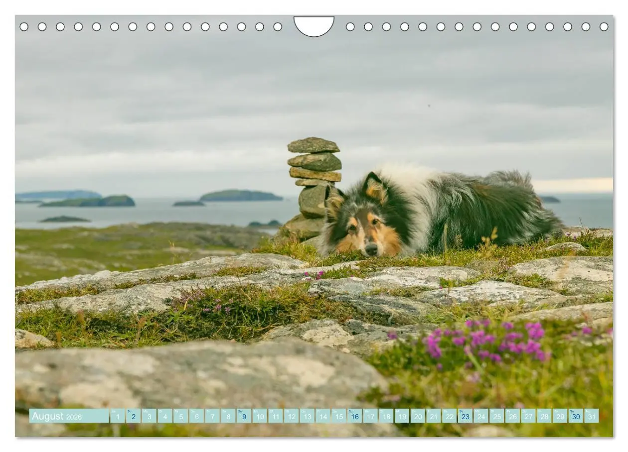 Bild: 9783457745427 | Highland-Collies - Auf vier Pfoten durch Schottland und Irland...