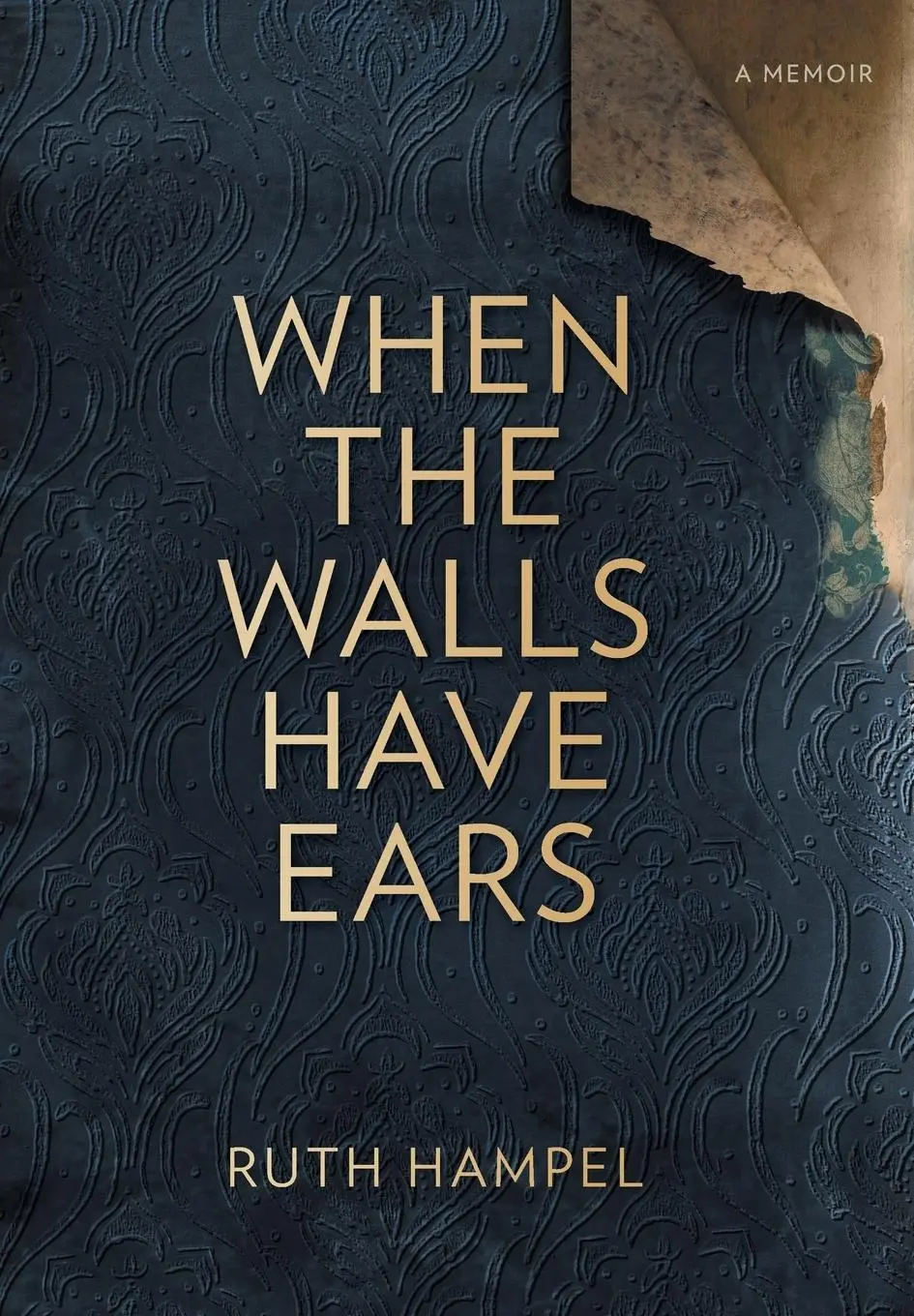 Cover: 9780648405627 | When the Walls Have Ears | Ruth Hampel | Buch | Gebunden | Englisch