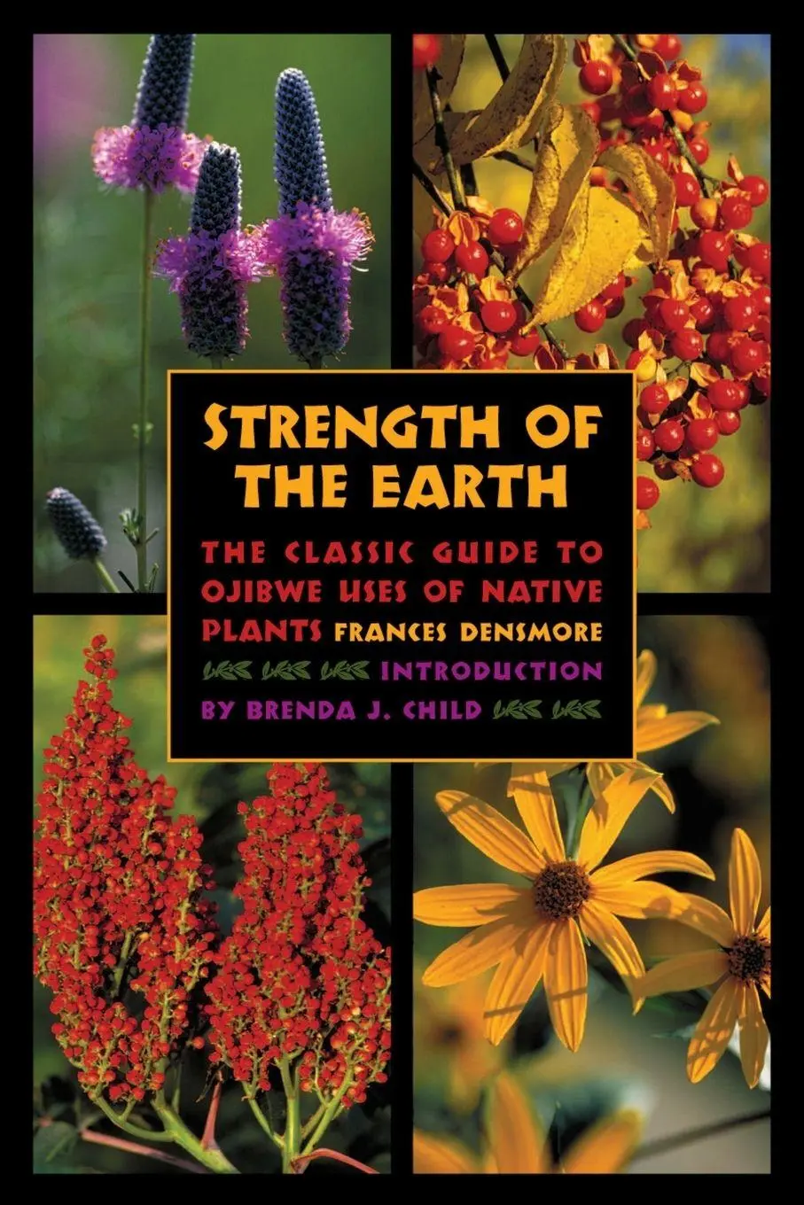 Cover: 9780873515627 | Strength of the Earth | Frances Densmore | Taschenbuch | Englisch