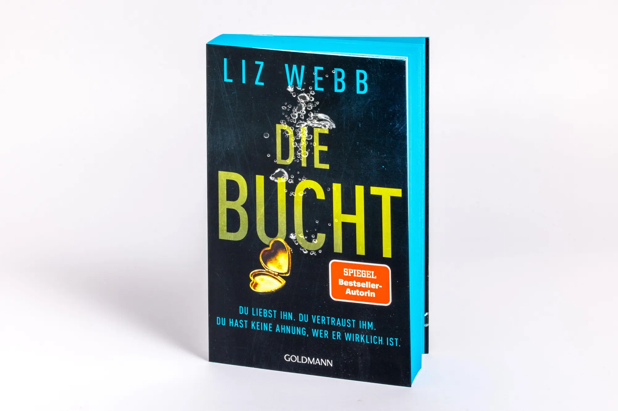 Bild: 9783442495627 | Die Bucht | Liz Webb | Taschenbuch | 384 S. | Deutsch | 2025