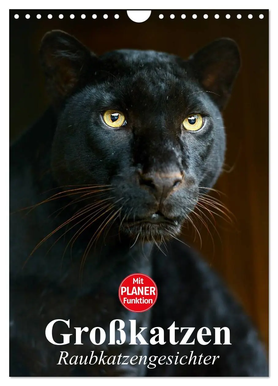 Cover: 9783457025727 | Großkatzen. Raubkatzengesichter (Wandkalender 2025 DIN A4 hoch),...