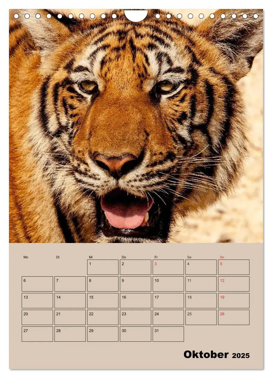 Bild: 9783457025727 | Großkatzen. Raubkatzengesichter (Wandkalender 2025 DIN A4 hoch),...