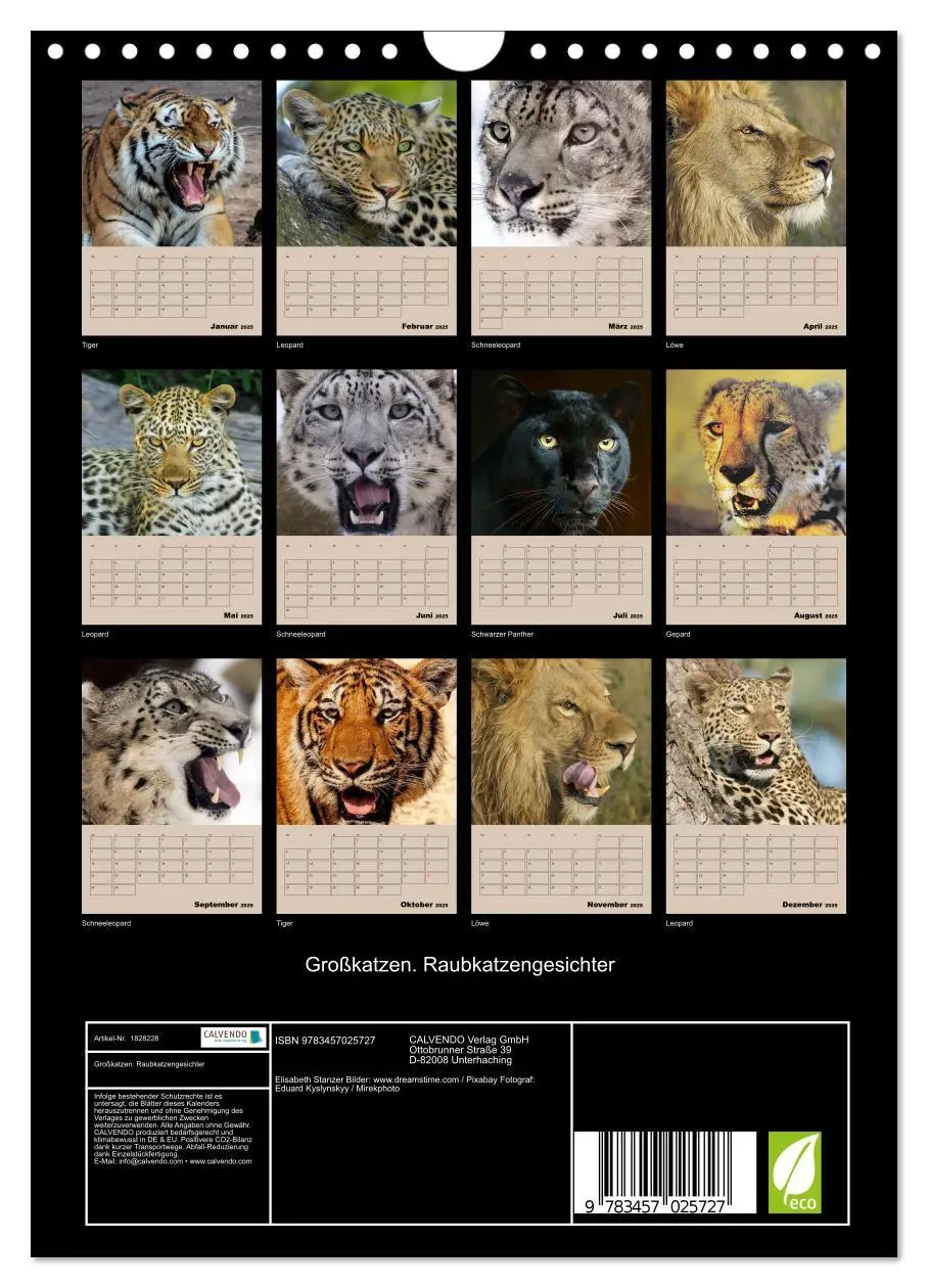 Bild: 9783457025727 | Großkatzen. Raubkatzengesichter (Wandkalender 2025 DIN A4 hoch),...