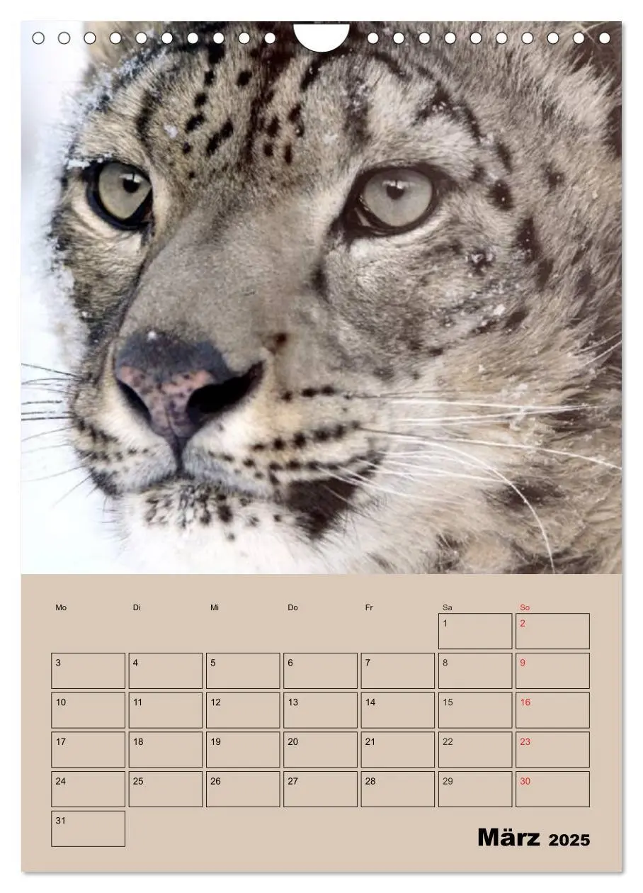 Bild: 9783457025727 | Großkatzen. Raubkatzengesichter (Wandkalender 2025 DIN A4 hoch),...