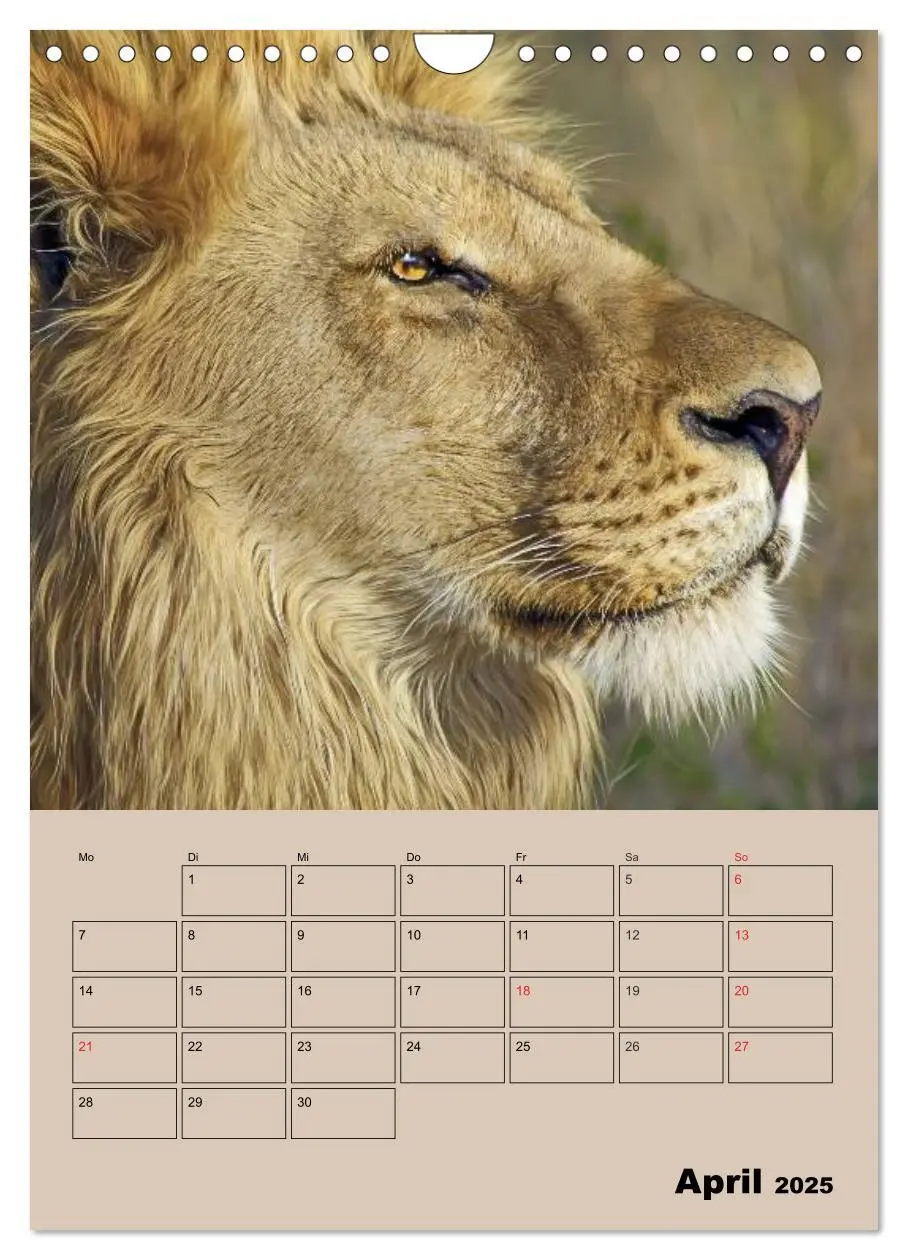 Bild: 9783457025727 | Großkatzen. Raubkatzengesichter (Wandkalender 2025 DIN A4 hoch),...