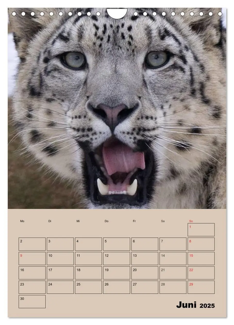 Bild: 9783457025727 | Großkatzen. Raubkatzengesichter (Wandkalender 2025 DIN A4 hoch),...