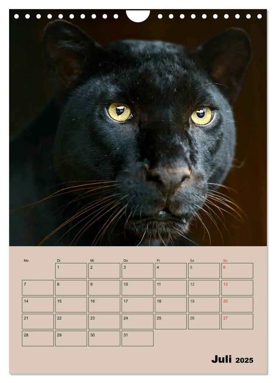 Bild: 9783457025727 | Großkatzen. Raubkatzengesichter (Wandkalender 2025 DIN A4 hoch),...