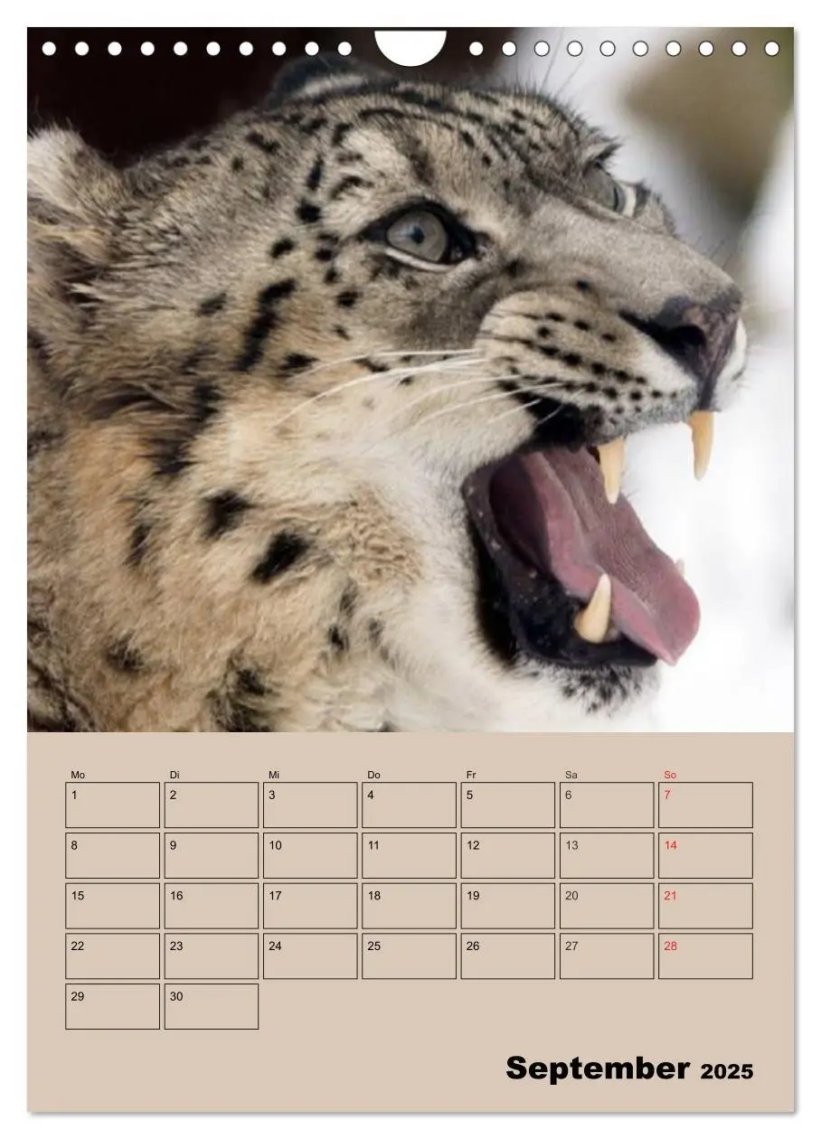 Bild: 9783457025727 | Großkatzen. Raubkatzengesichter (Wandkalender 2025 DIN A4 hoch),...