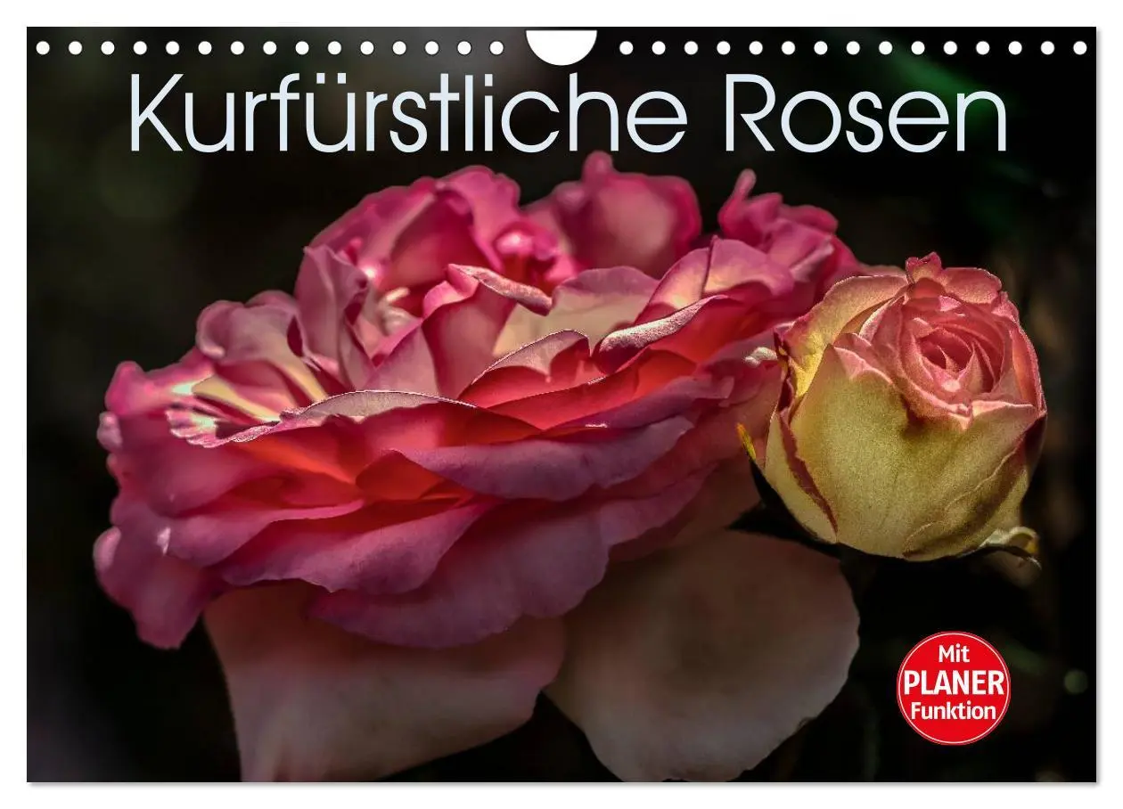 Cover: 9783516035827 | Kurfürstliche Rosen Eltville am Rhein (Wandkalender 2026 DIN A4...