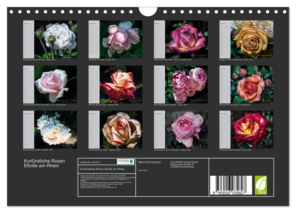 Bild: 9783516035827 | Kurfürstliche Rosen Eltville am Rhein (Wandkalender 2026 DIN A4...
