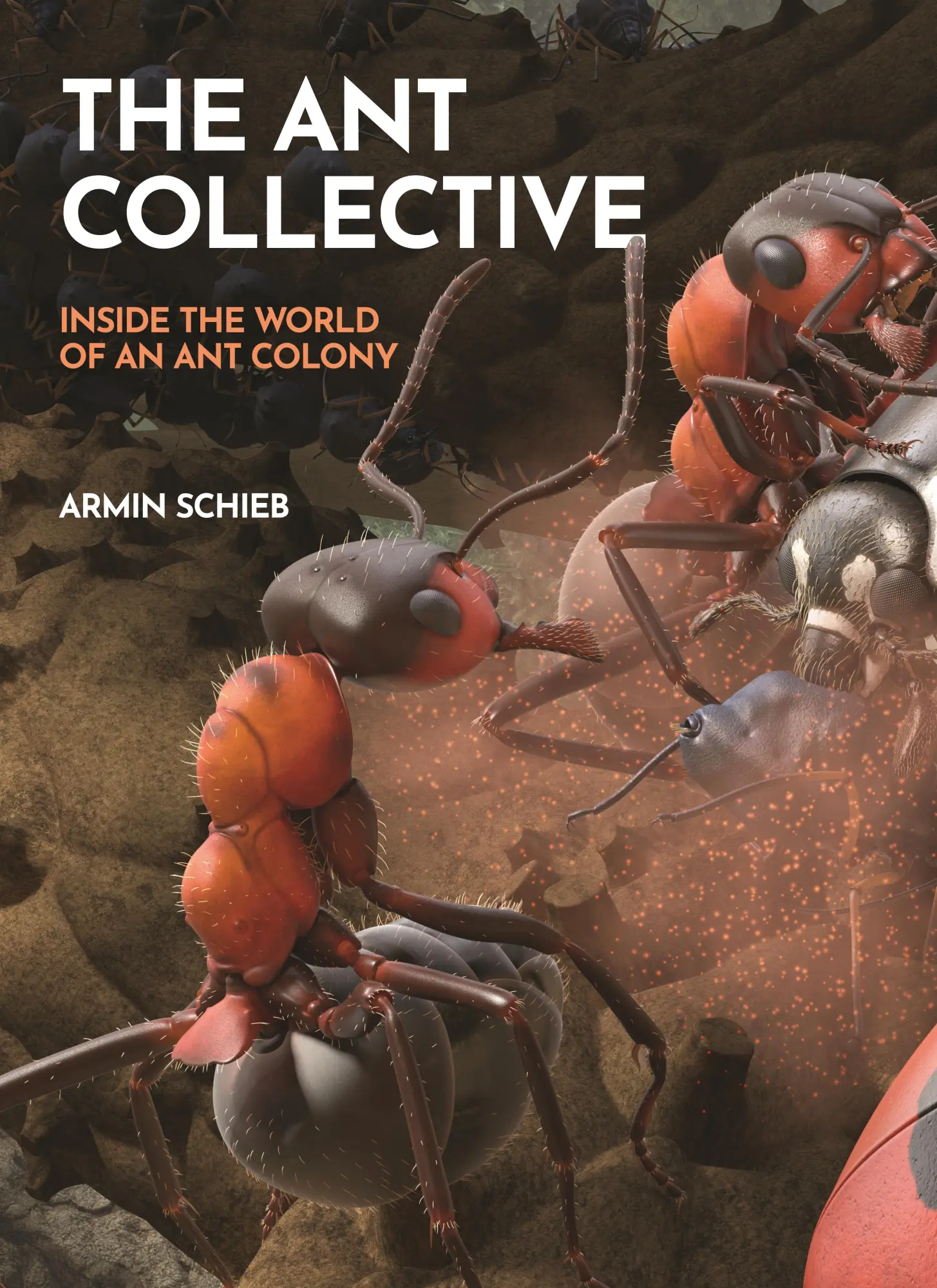 Cover: 9780691255927 | The Ant Collective | Inside the World of an Ant Colony | Armin Schieb