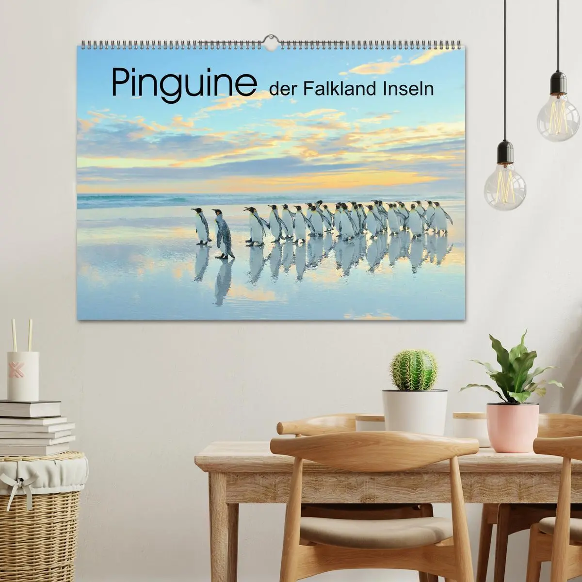 Bild: 9783457795927 | Pinguine der Falkland Inseln (Wandkalender 2026 DIN A2 quer),...