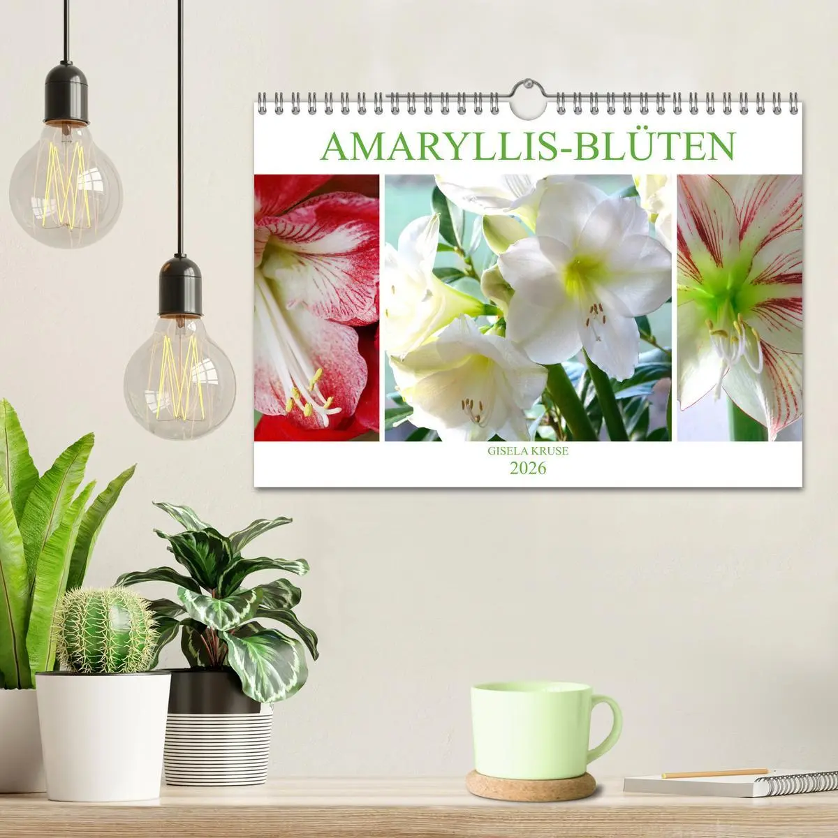 Bild: 9783457865927 | Amaryllis-Blüten (Wandkalender 2026 DIN A4 quer), CALVENDO...