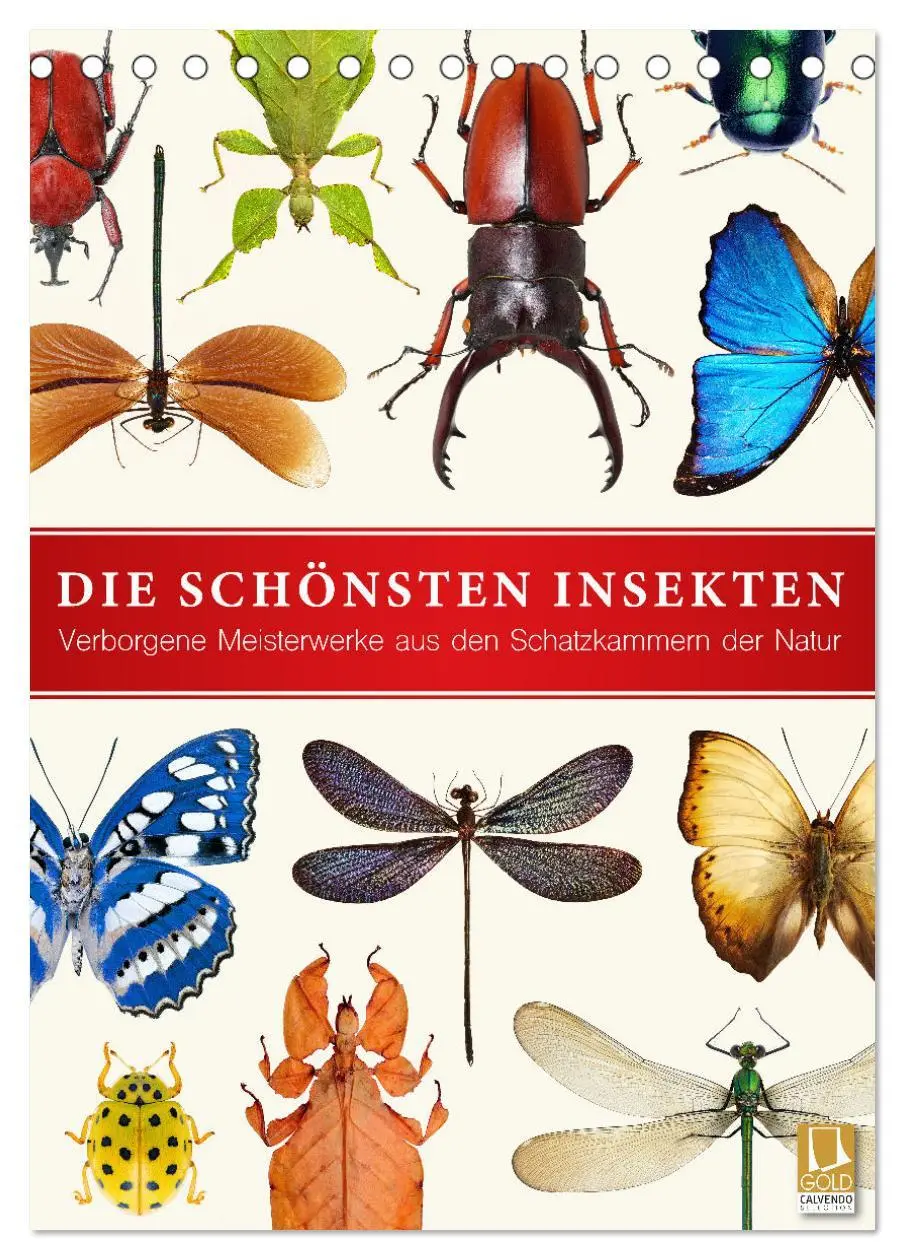 Cover: 9783516405927 | Die schönsten Insekten (Tischkalender 2026 DIN A5 hoch), CALVENDO...
