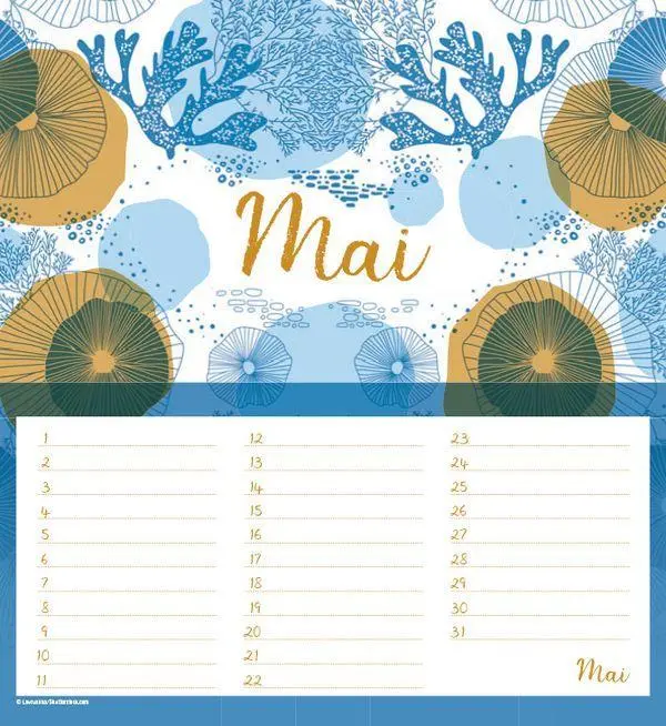 Bild: 9783731855927 | Geburtstagskalender Vitamin Sea | Korsch Verlag | Kalender | 13 S.